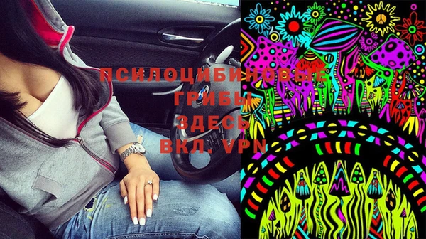 прущие грибы Беломорск