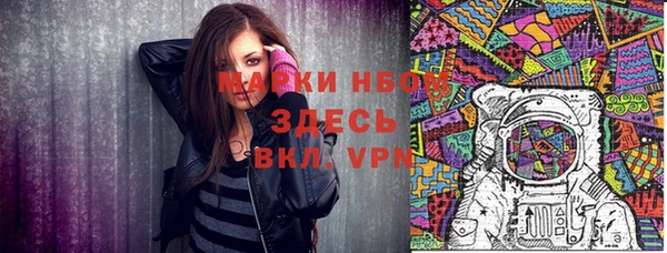 прущие грибы Беломорск