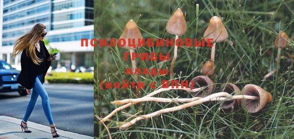 герыч Белоозёрский
