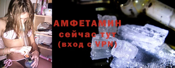 прущие грибы Беломорск