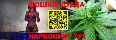 бошки Гагарин