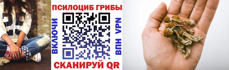 мега ССЫЛКА  где купить наркоту  Малоярославец  Псилоцибиновые грибы ЛСД 