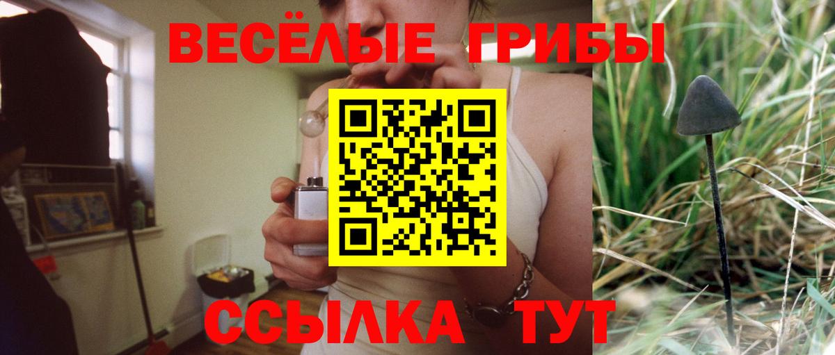 Малоярославец  Галлюциногенные грибы Magic Shrooms  Галлюциногенные грибы прущие грибы  Вход с VPN 